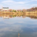 월곡 낚시터 네이버블로그