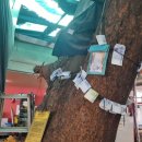 느티나무갈비 이미지