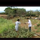 허브인휴양펜션 이미지