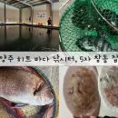 히트실내바다낚시터