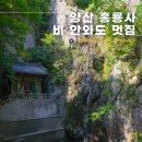 홍룡폭포(홍룡사) | 양산 홍룡사 홍룡폭포 부산근교 당일 여행 추천
