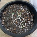 소소반점 | 시흥 배곧 중식 맛집, 소소반점에서 짜장면과 크림새우 먹은 내돈내산 재재재재재방문후기