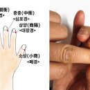 손 끝