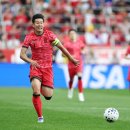 홍명보 카카오 검색결과