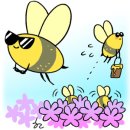 창조적소수