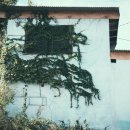 통창공원 이미지