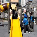 행운동-19 이미지