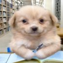 행정법무사무소 가족 행정사사무소 이미지