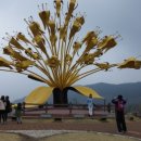 진천농다리공인중개사사무소 이미지