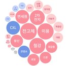 큐라셀뷰티 네이버블로그