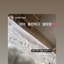 댕릉원 이미지