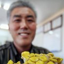 호암농산 연합뉴스