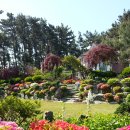 고목가든펜션 이미지