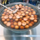 평전마을회관 | 부산기장 흑송 우동소바 정관점