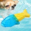 쿨한 강아지 이미지