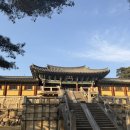 대웅구내식당(경아식당) | 202512경주, 부산