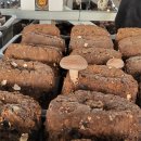 조남규농장 이미지