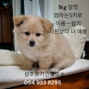 고평주유소 이미지