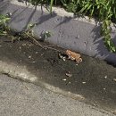 죽5리길 네이버블로그