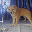 창원대산우체국 이미지