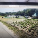 정동진공인중개사사무소 이미지