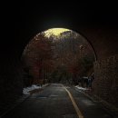 제천/ 겨울 포레스트리솜 스파 후기 + 준비물 , 별똥카페