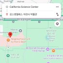 비커밍로즈 | LA 자연사박물관 완전정복! 공룡부터 광물까지, 알차게 즐기는 꿀팁