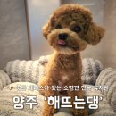 해뜨는댕 이미지