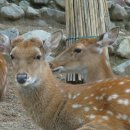 환호해맞이공원 이미지