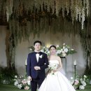 스위트피네일 | [Wedding] 본식리뷰 : 라비돌웨딩강남 / 이네스이든 / 토냐 / 김활란 메이크업 뮤네제프 / 꽃술예...