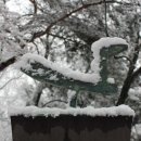 우장산근린공원 이미지