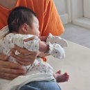 유자네 댕댕이 | 요즘 일상이 시트콤