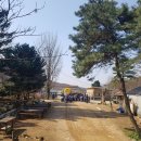 금릉초교 이미지