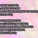 부산예스치과의원 | 부산 연산동 치과 추천 프라하치과의원 부산연산동 스케일링검진 만족 후기