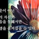 주식회사 새길 이미지