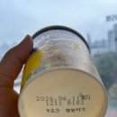 (주)강원129이송단 | [1월 마음가짐] 멋지게 시작한 붉은말, 달려라 동댕 2026년 첫 달 모음zip