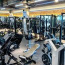 머슬팩토리 진해점 이미지