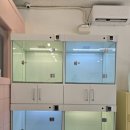 깔끔하개 이미지