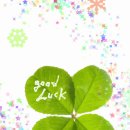 행운 이미지