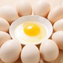 김동진농장 이미지