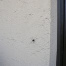 틸다하우스 이미지