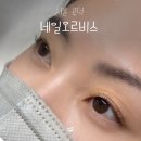네일오르비스 - 마포구 백범로31길 8 | 공덕역 속눈썹펌 솔직 후기 | 네일오르비스