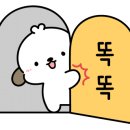 박시현테라피