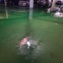 웅천 부영2차 이미지