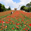 올림픽공원 이미지