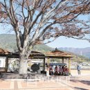 대사마을경로당 이미지