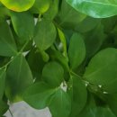 경기시흥내과의원 이미지