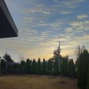 소보리애 이미지