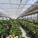 칠량농장 이미지