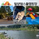 밀양댐스쿨캠핑장 | 부산 근교 물놀이 계곡 캠핑 [밀양댐스쿨캠핑장] 애견동반 가능